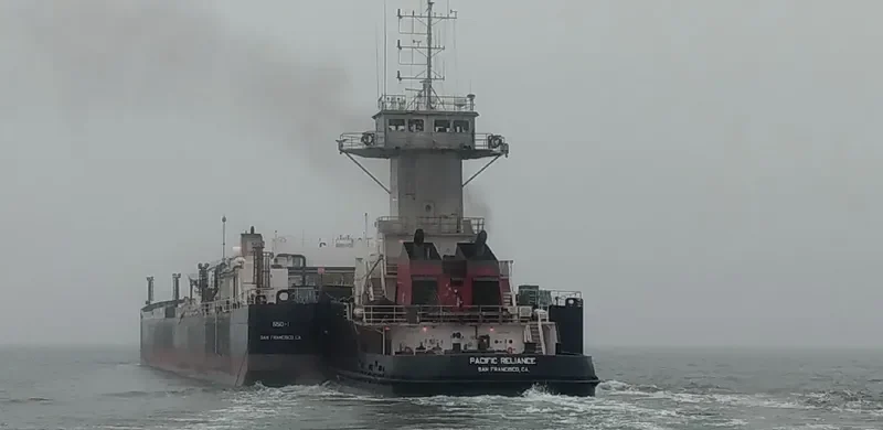 PACIFIC RELIANCE General Cargo IMO 9386548 photo 3