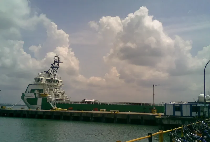 BOURBON RUBY Offshore Vessel IMO 9386689