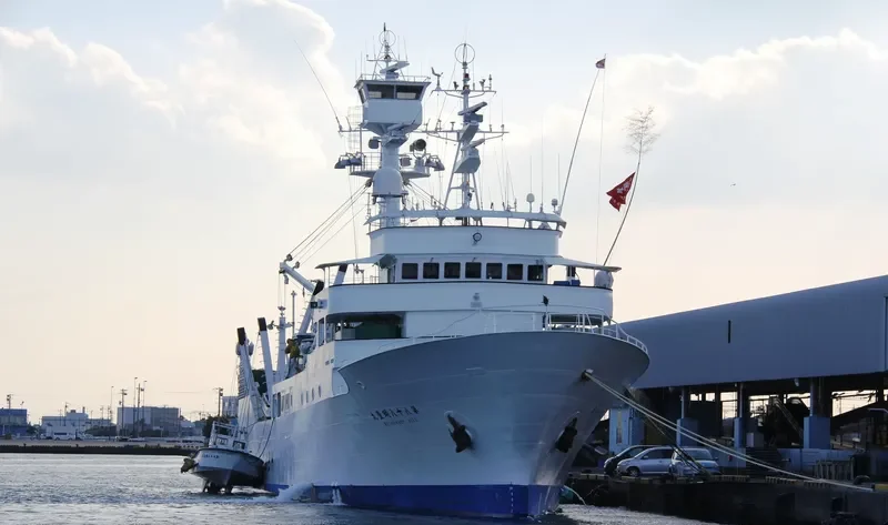 MEIHO MARU NO.88 General Cargo IMO 9386782