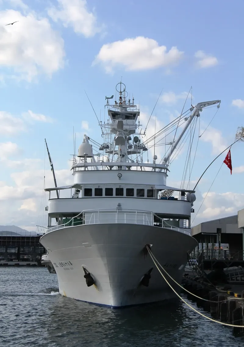 MEIHO MARU NO.88 General Cargo IMO 9386782 photo 3