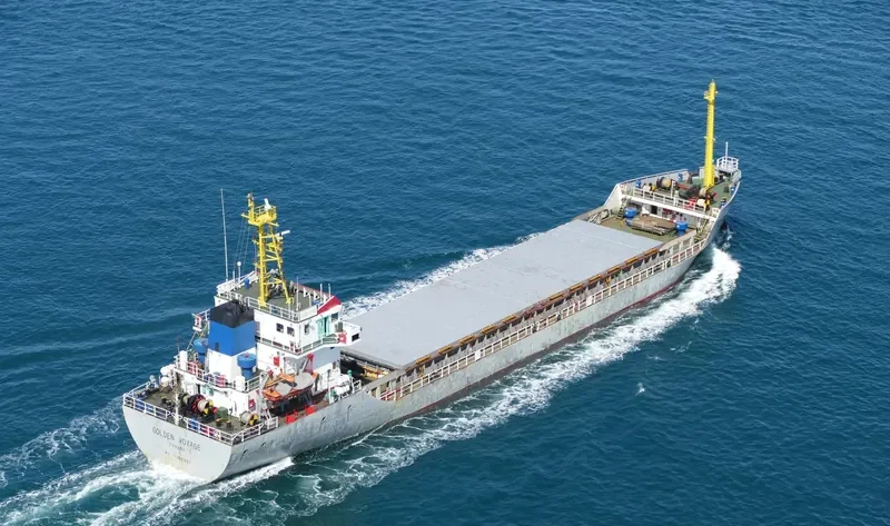 HONG HAI YANG Bulk Carrier IMO 9386902