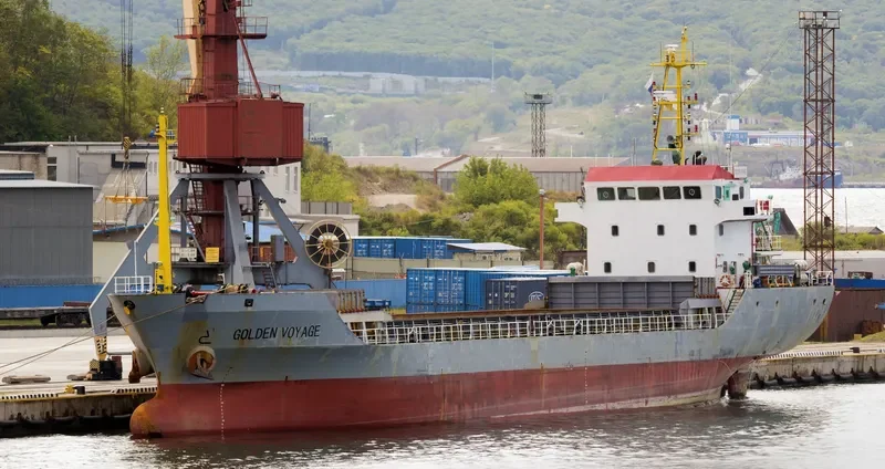 HONG HAI YANG Bulk Carrier IMO 9386902 photo 2