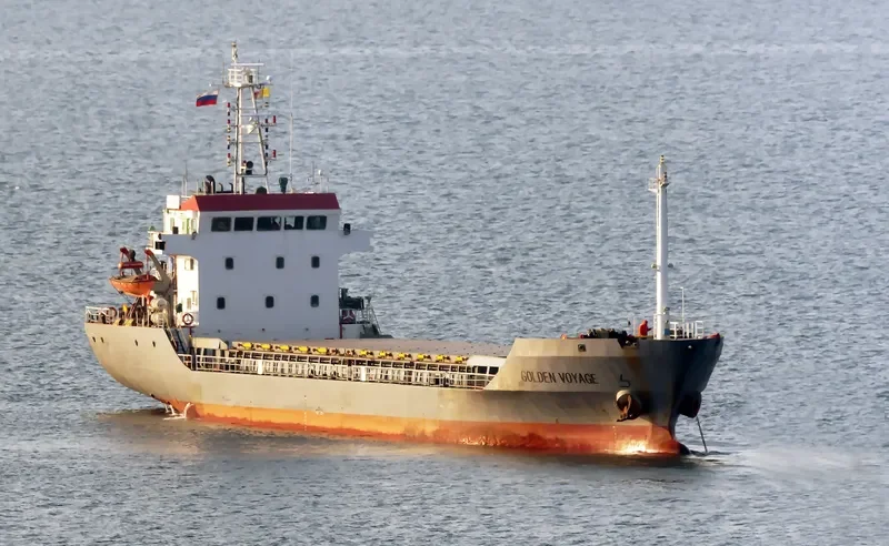 HONG HAI YANG Bulk Carrier IMO 9386902 photo 5