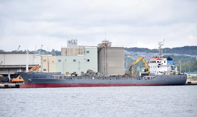 HONG HAI YANG Bulk Carrier IMO 9386902 photo 6