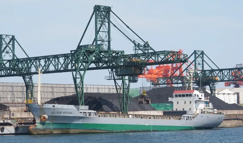 HONG HAI YANG Bulk Carrier IMO 9386902 photo 8