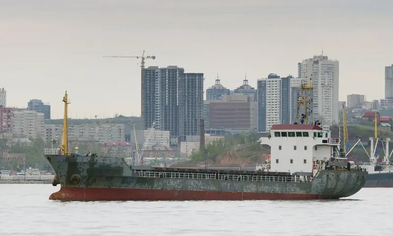 HONG HAI YANG Bulk Carrier IMO 9386902 photo 9