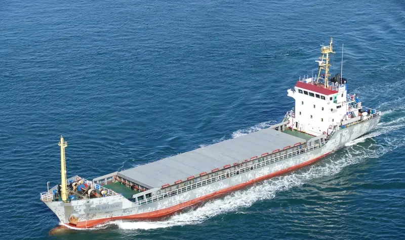 HONG HAI YANG Bulk Carrier IMO 9386902 photo 10