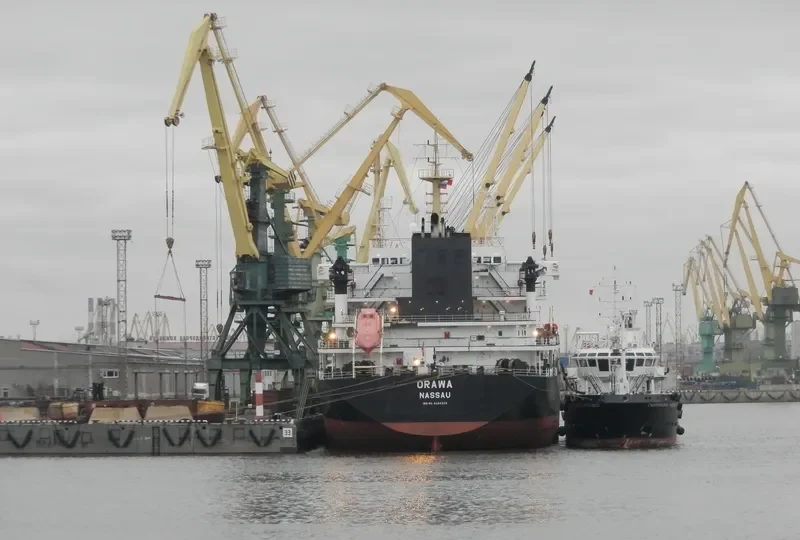 ORAWA Bulk Carrier IMO 9386926 photo 4