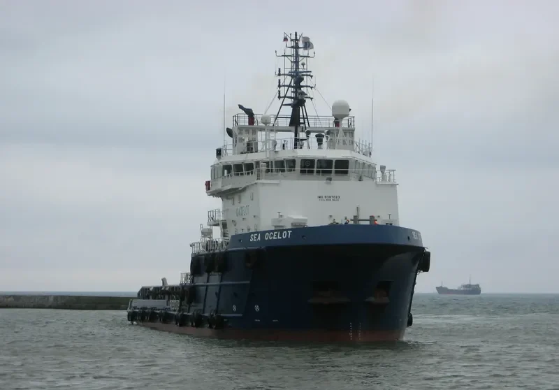 SEA OCELOT Offshore Vessel IMO 9387023