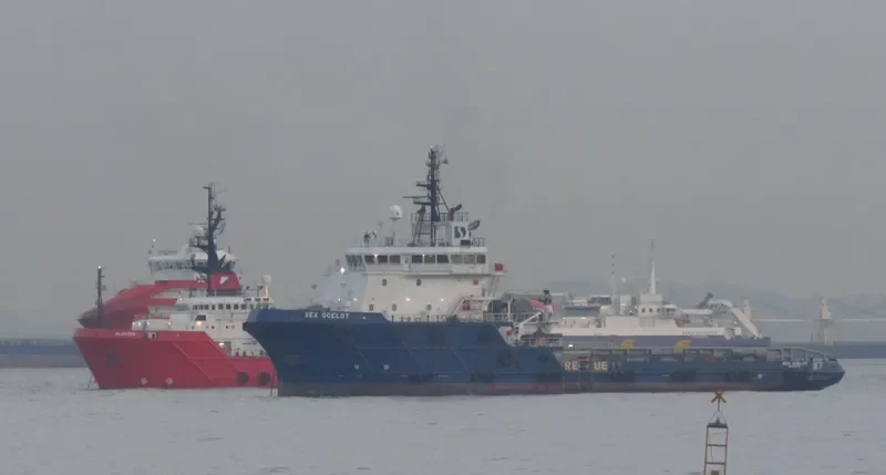 SEA OCELOT Offshore Vessel IMO 9387023 photo 2
