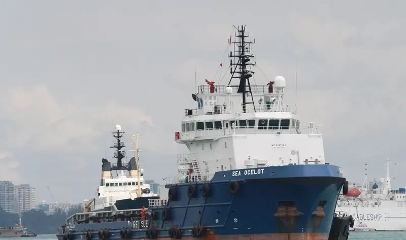 SEA OCELOT Offshore Vessel IMO 9387023 photo 3
