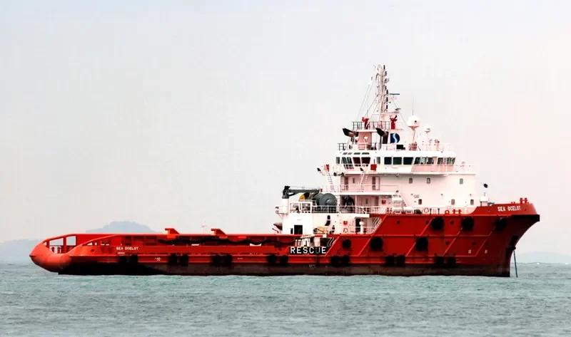SEA OCELOT Offshore Vessel IMO 9387023 photo 7