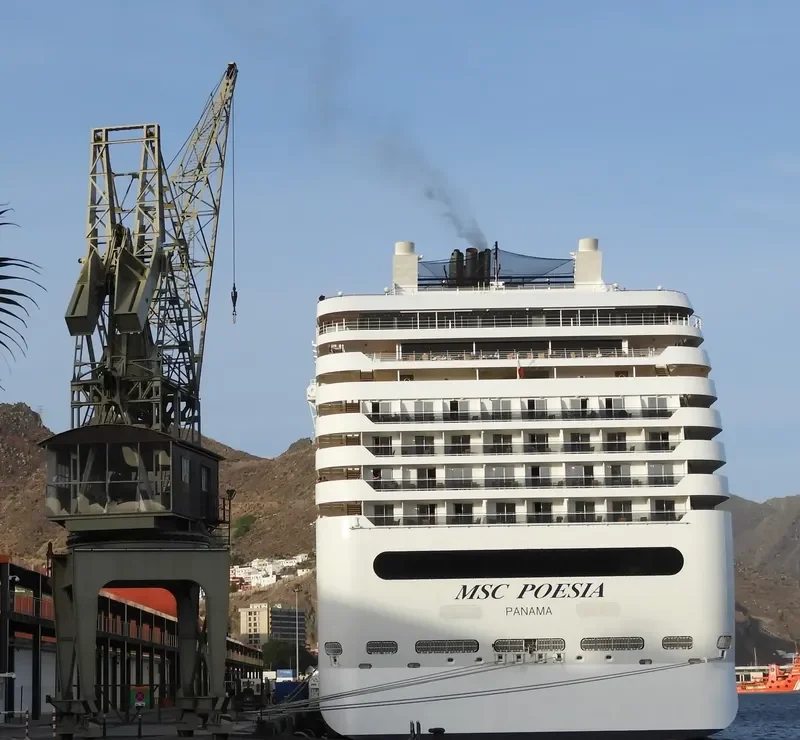 MSC POESIA Passenger Ship IMO 9387073 photo 8