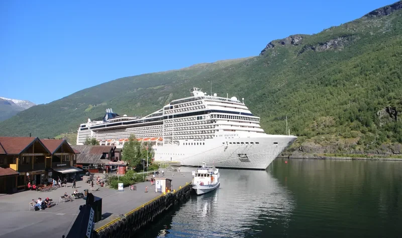 MSC MAGNIFICA Passenger Ship IMO 9387085 photo 2