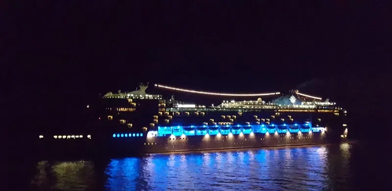 MSC MAGNIFICA Passenger Ship IMO 9387085 photo 5