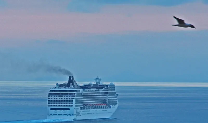 MSC MAGNIFICA Passenger Ship IMO 9387085 photo 6