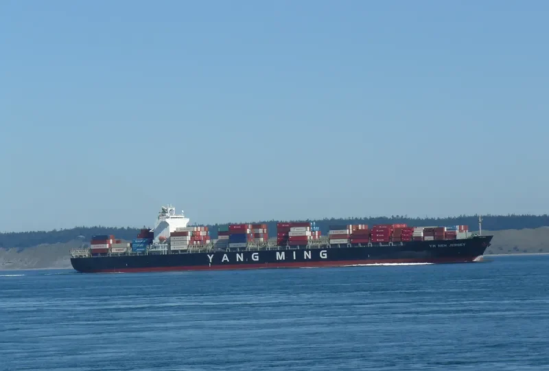 NEW JERSEY Container Ship IMO 9387097 photo 8