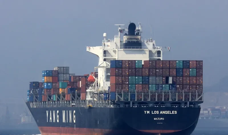 YM LOS ANGELES Container Ship IMO 9387102