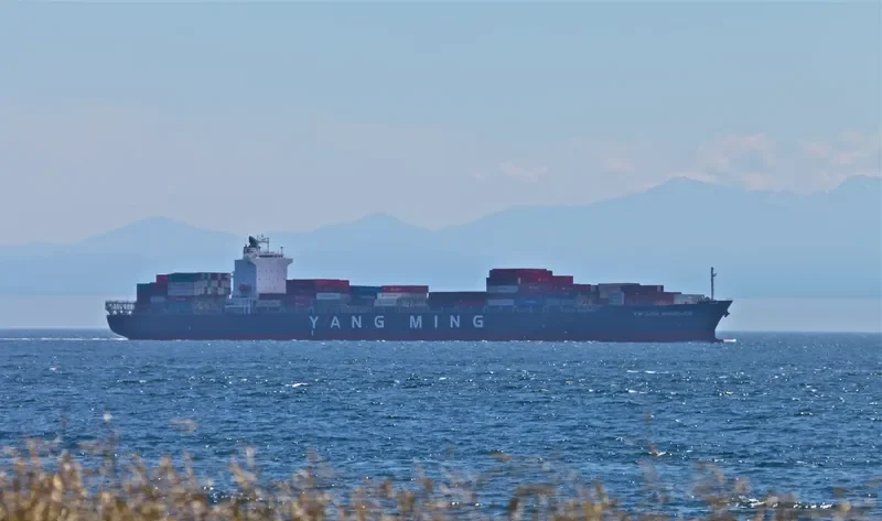 YM LOS ANGELES Container Ship IMO 9387102 photo 10
