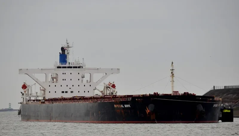 IMPERIAL MWK Bulk Carrier IMO 9387114 photo 5