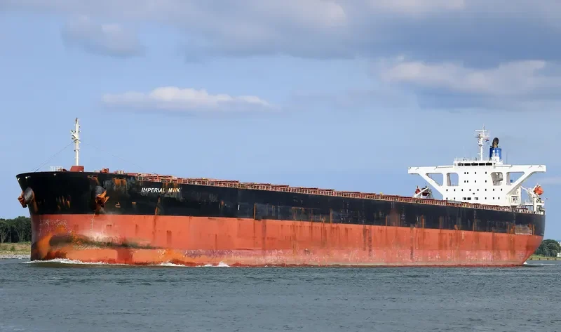 IMPERIAL MWK Bulk Carrier IMO 9387114 photo 6