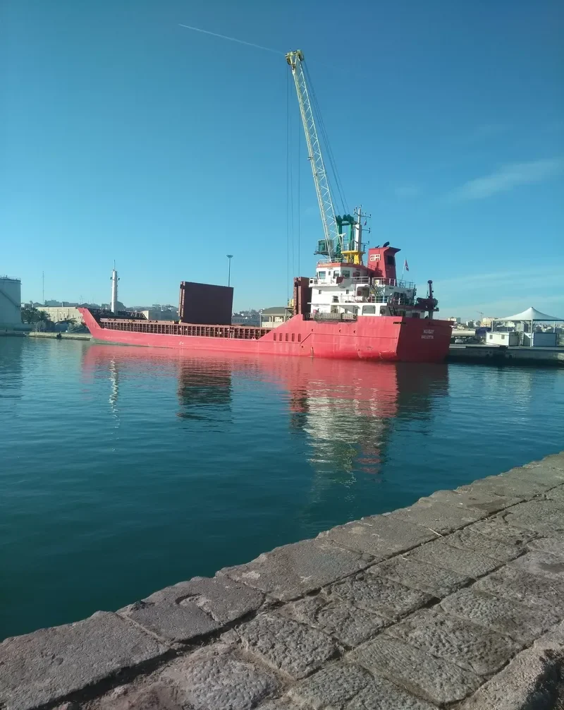 FAHRIYE K General Cargo IMO 9387126 photo 4