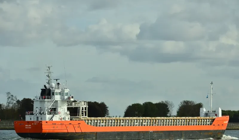 VERENA General Cargo IMO 9387322 photo 5
