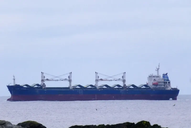 BALTIC LEOPARD Bulk Carrier IMO 9387334 photo 3