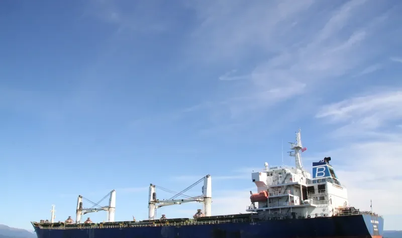 BALTIC LEOPARD Bulk Carrier IMO 9387334 photo 6