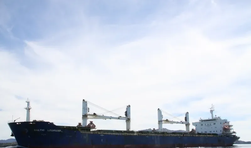BALTIC LEOPARD Bulk Carrier IMO 9387334 photo 7