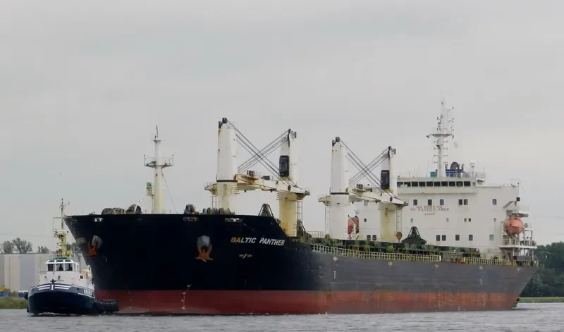 QI SHUN Bulk Carrier IMO 9387346 photo 7