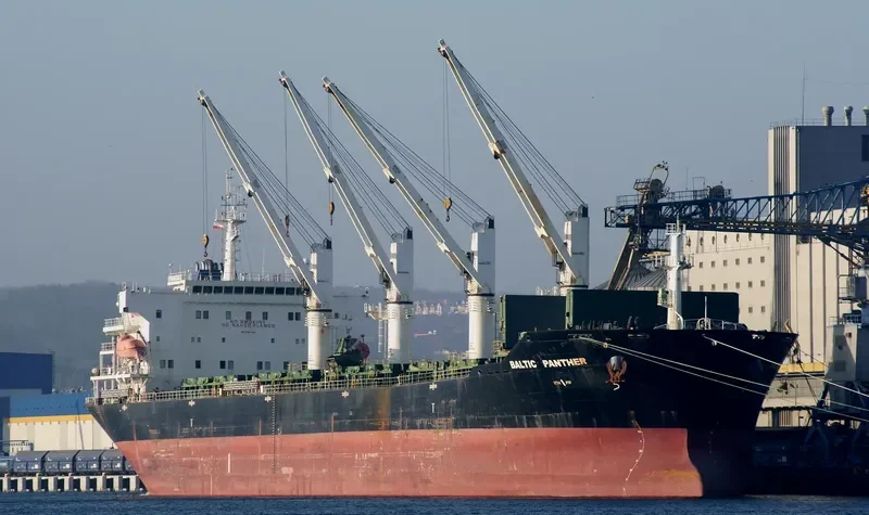 QI SHUN Bulk Carrier IMO 9387346 photo 9