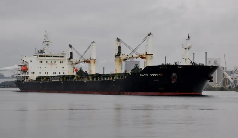 MBS BUYAN Bulk Carrier IMO 9387358 photo 4