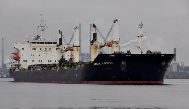 MBS BUYAN Bulk Carrier IMO 9387358 photo 5