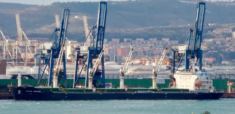 MBS BUYAN Bulk Carrier IMO 9387358 photo 7