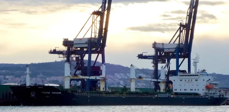 MBS BUYAN Bulk Carrier IMO 9387358 photo 9