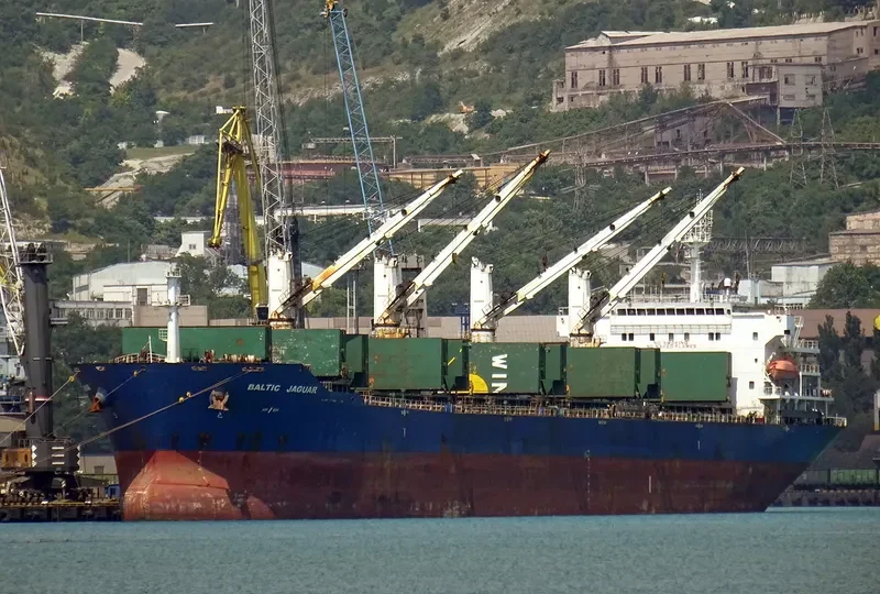 LOTUS G Bulk Carrier IMO 9387360 photo 2