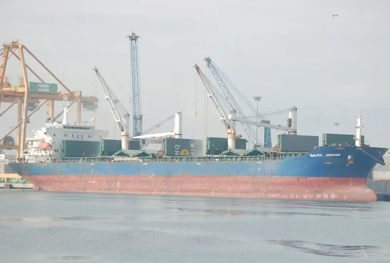 LOTUS G Bulk Carrier IMO 9387360 photo 4