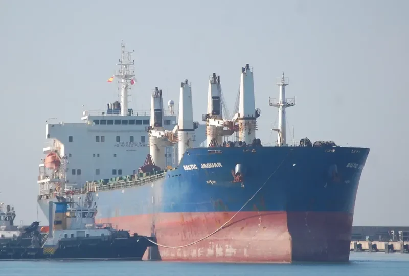 LOTUS G Bulk Carrier IMO 9387360 photo 5