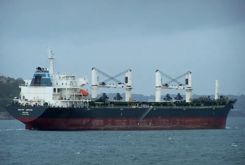 LOTUS G Bulk Carrier IMO 9387360 photo 10