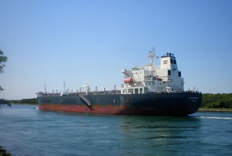 VALLE BIANCA Tanker IMO 9387580 photo 8