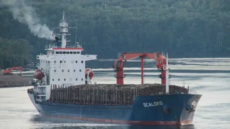 AURELIA I General Cargo IMO 9387621 photo 3