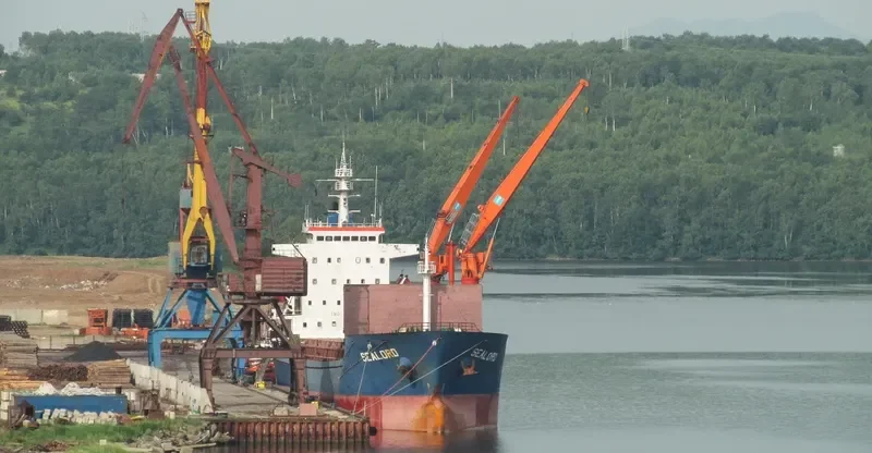 AURELIA I General Cargo IMO 9387621 photo 5