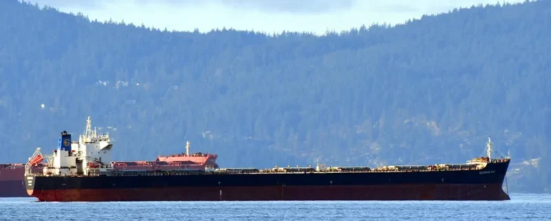 IVESTOS 7 Bulk Carrier IMO 9387633