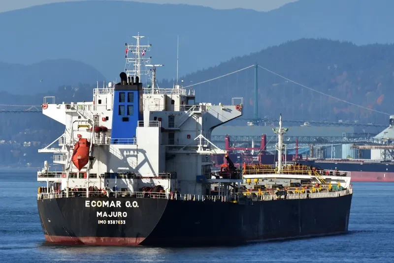 IVESTOS 7 Bulk Carrier IMO 9387633 photo 5