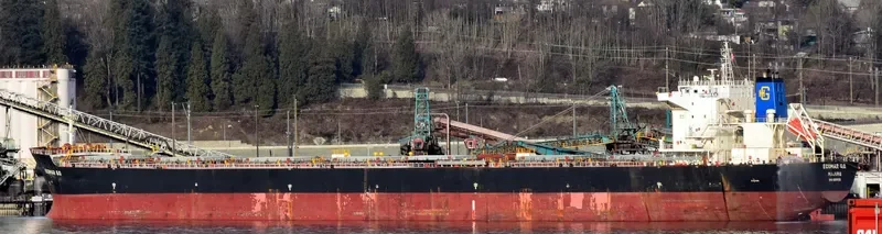 IVESTOS 7 Bulk Carrier IMO 9387633 photo 7