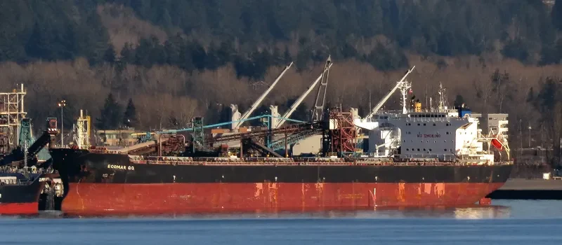 IVESTOS 7 Bulk Carrier IMO 9387633 photo 8