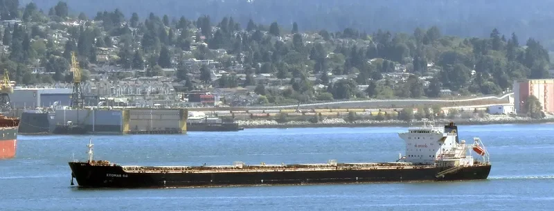 IVESTOS 7 Bulk Carrier IMO 9387633 photo 9