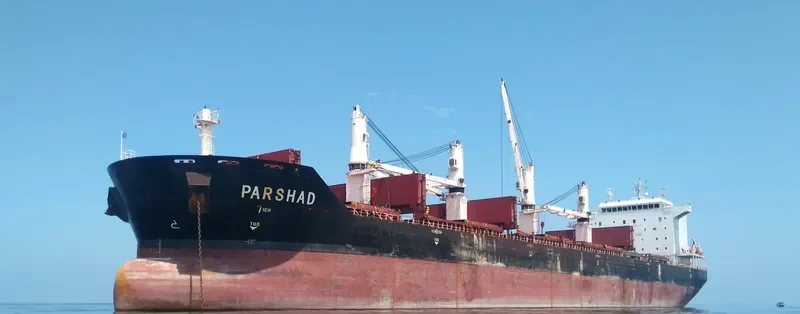 PARSHAD Bulk Carrier IMO 9387786 photo 3