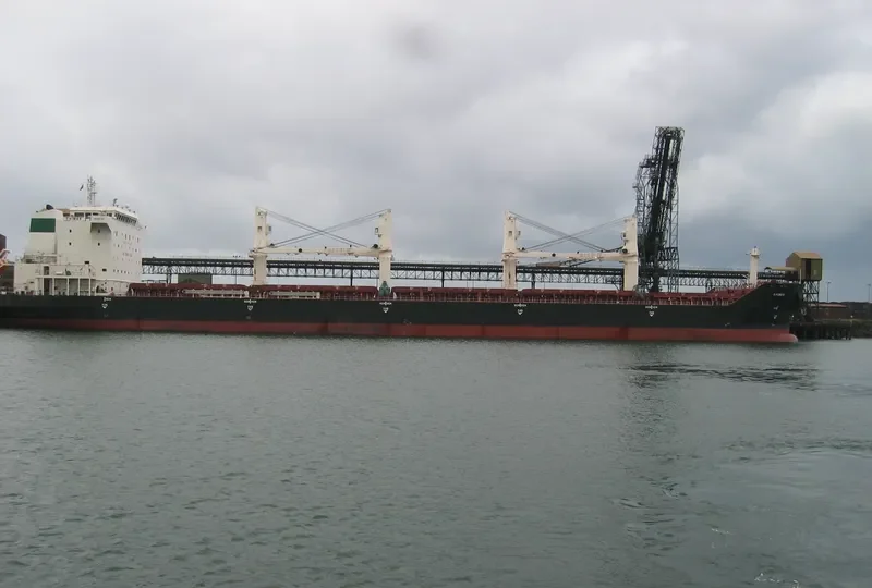 PARSHAD Bulk Carrier IMO 9387786 photo 4